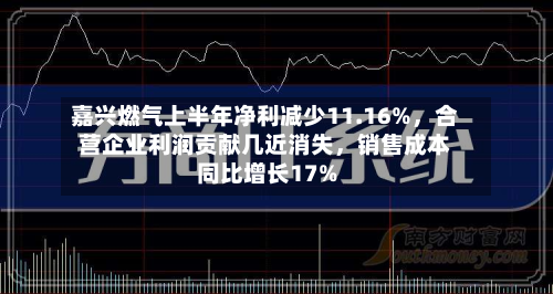 嘉兴燃气上半年净利减少11.16%	，合营企业利润贡献几近消失，销售成本同比增长17%-第3张图片