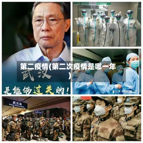 第二疫情(第二次疫情是哪一年)