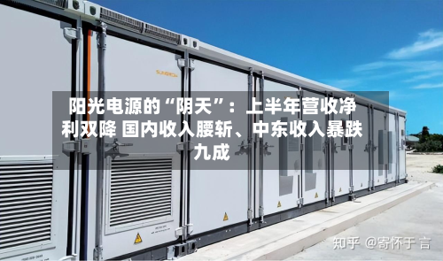 阳光电源的“阴天”：上半年营收净利双降 国内收入腰斩、中东收入暴跌九成-第3张图片