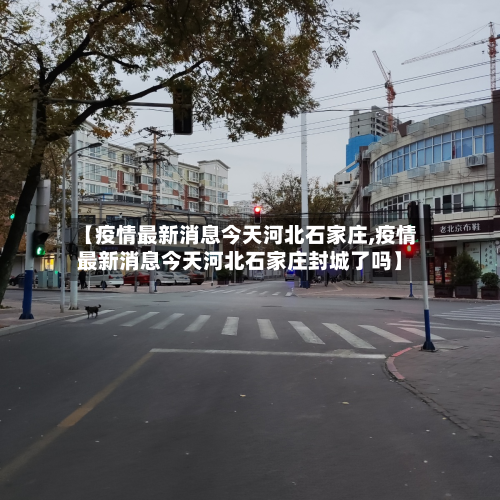 【疫情最新消息今天河北石家庄,疫情最新消息今天河北石家庄封城了吗】-第2张图片