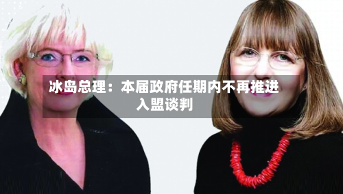 冰岛总理：本届政府任期内不再推进入盟谈判-第2张图片