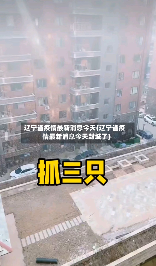 辽宁省疫情最新消息今天(辽宁省疫情最新消息今天封城了)