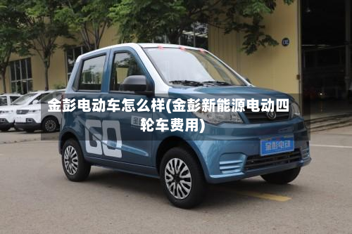 金彭电动车怎么样(金彭新能源电动四轮车费用)