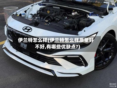 伊兰特怎么样(伊兰特怎么样质量好不好,有哪些优缺点?)
