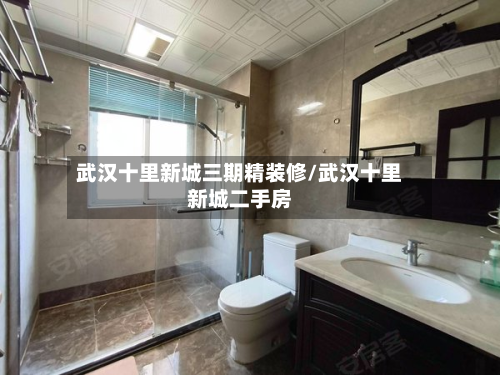 武汉十里新城三期精装修/武汉十里新城二手房