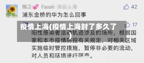 疫情上海(疫情上海封了多久了)-第3张图片
