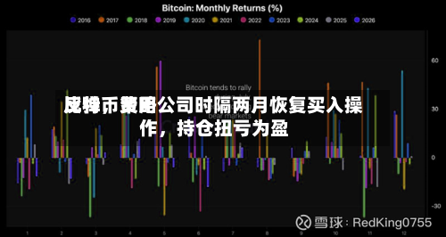 比特币费用反弹，策略公司时隔两月恢复买入操作，持仓扭亏为盈-第2张图片