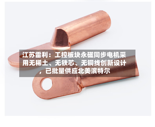 江苏雷利：工控板块永磁同步电机采用无稀土、无铁芯	、无铜线创新设计，已批量供应北美滨特尔-第2张图片