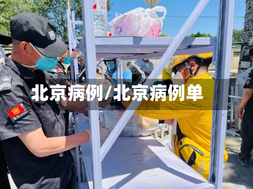 北京病例/北京病例单-第3张图片