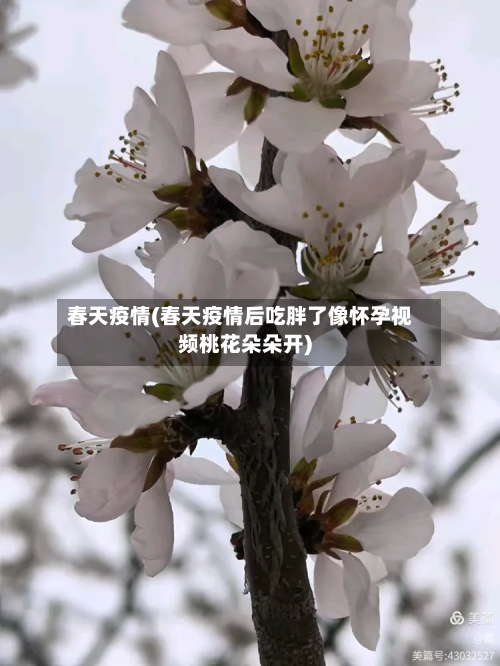 春天疫情(春天疫情后吃胖了像怀孕视频桃花朵朵开)