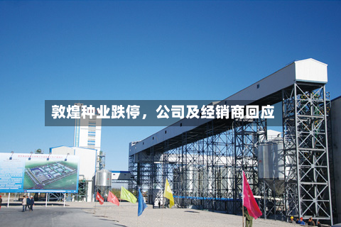 敦煌种业跌停	，公司及经销商回应-第2张图片