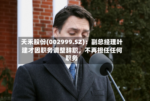天禾股份(002999.SZ)：副总经理叶建才因职务调整辞职	，不再担任任何职务-第1张图片
