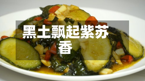 黑土飘起紫苏香