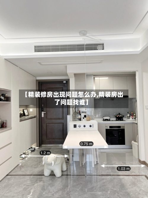 【精装修房出现问题怎么办,精装房出了问题找谁】