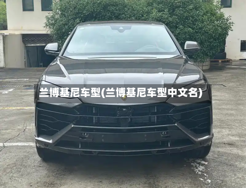 兰博基尼车型(兰博基尼车型中文名)-第3张图片