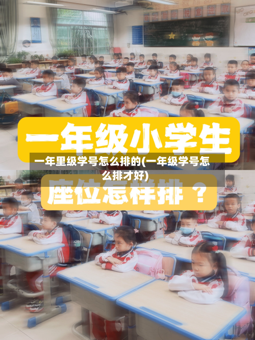 一年里级学号怎么排的(一年级学号怎么排才好)-第2张图片