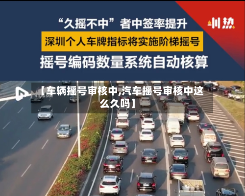 【车辆摇号审核中,汽车摇号审核中这么久吗】-第2张图片
