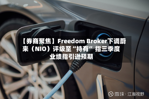 【券商聚焦】Freedom Broker下调蔚来（NIO）评级至“持有	” 指三季度业绩指引逊预期-第3张图片