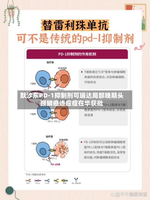 默沙东PD-1抑制剂可瑞达局部晚期头颈鳞癌适应症在华获批-第2张图片