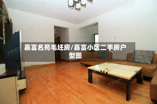 嘉富名苑毛坯房/嘉富小区二手房户型图-第3张图片