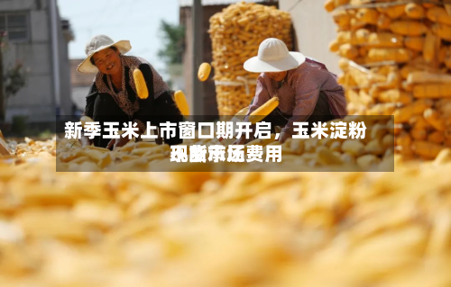 新季玉米上市窗口期开启，玉米淀粉现货市场费用不断承压-第1张图片