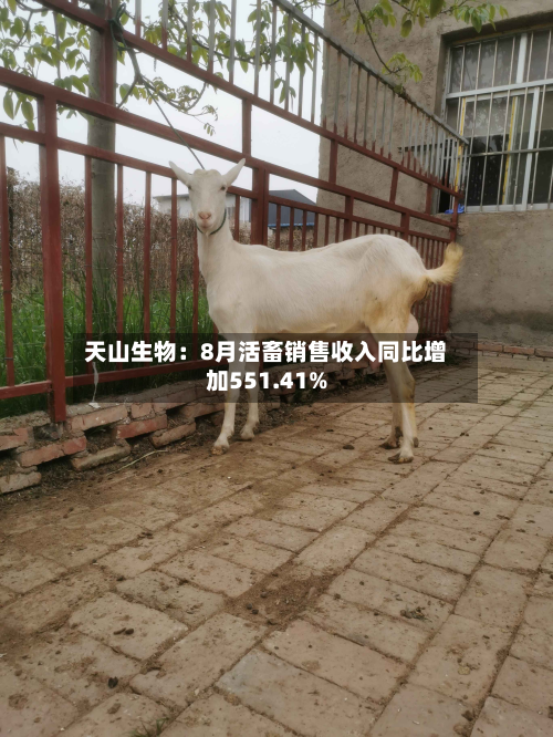 天山生物：8月活畜销售收入同比增加551.41%-第3张图片