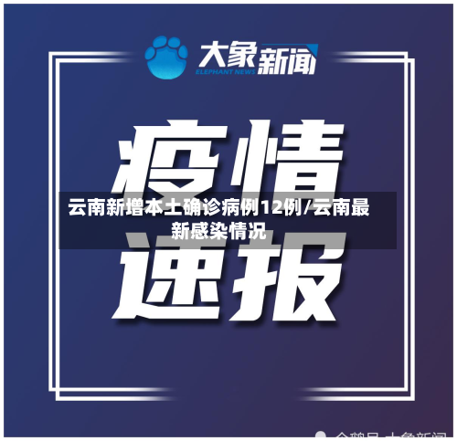 云南新增本土确诊病例12例/云南最新感染情况