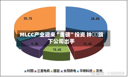MLCC产业迎来“重磅”投资 钟睒睒旗下公司出手-第3张图片