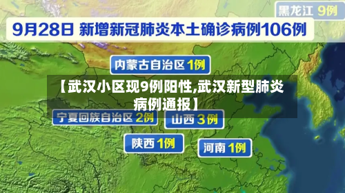 【武汉小区现9例阳性,武汉新型肺炎病例通报】-第2张图片