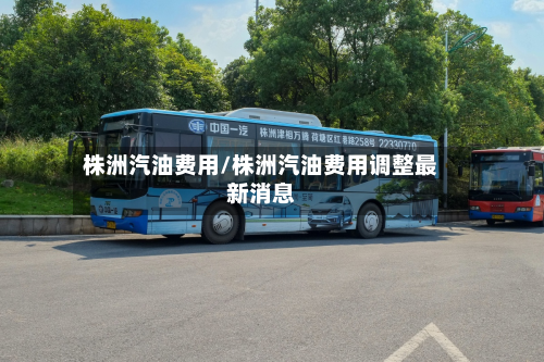 株洲汽油费用/株洲汽油费用调整最新消息