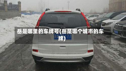 岳是哪里的车牌号(岳是哪个城市的车牌)