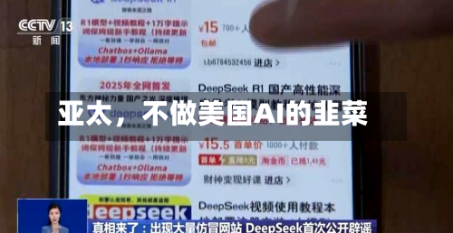 亚太	，不做美国AI的韭菜-第2张图片