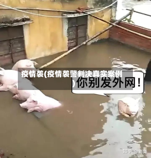 疫情袭(疫情袭警判决真实案例)