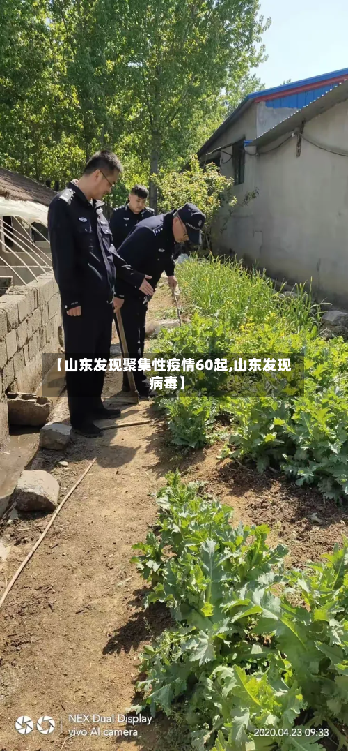 【山东发现聚集性疫情60起,山东发现病毒】-第2张图片