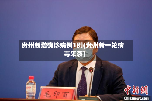 贵州新增确诊病例1例(贵州新一轮病毒来袭)-第2张图片