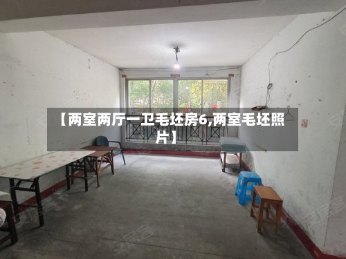 【两室两厅一卫毛坯房6,两室毛坯照片】