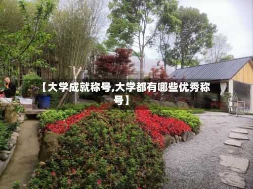 【大学成就称号,大学都有哪些优秀称号】-第2张图片