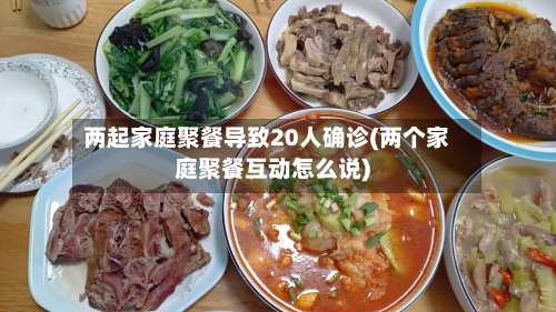 两起家庭聚餐导致20人确诊(两个家庭聚餐互动怎么说)
