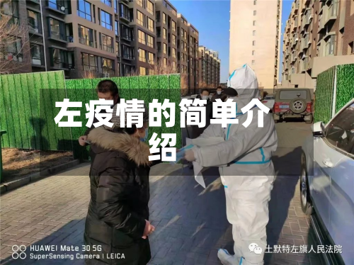 左疫情的简单介绍-第2张图片