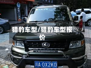 猎豹车型/猎豹车型报价-第3张图片