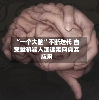 “一个大脑	”不断迭代 自变量机器人加速走向真实应用-第2张图片