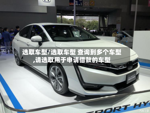 选取车型/选取车型 查询到多个车型,请选取用于申请借款的车型