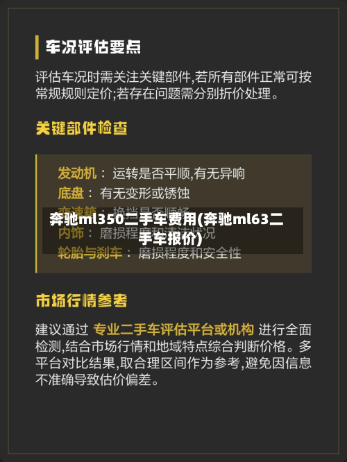 奔驰ml350二手车费用(奔驰ml63二手车报价)-第2张图片