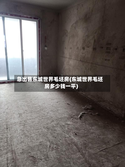 急出售东城世界毛坯房(东城世界毛坯房多少钱一平)