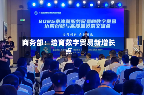 商务部:培育数字贸易新增长点-第3张图片