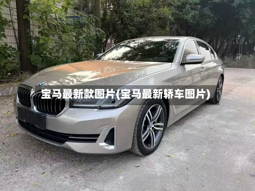 宝马最新款图片(宝马最新轿车图片)-第3张图片