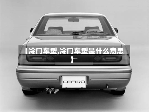 【冷门车型,冷门车型是什么意思】-第2张图片