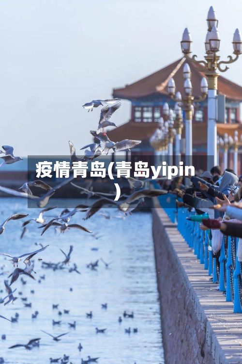 疫情青岛(青岛yipin)