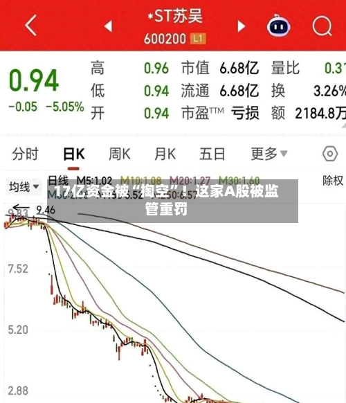 17亿资金被“掏空”！这家A股被监管重罚-第2张图片