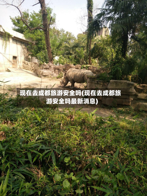现在去成都旅游安全吗(现在去成都旅游安全吗最新消息)